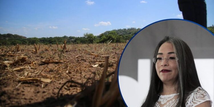 “Parecen ignorar el sufrimiento de su propia gente”: CNA arremete contra la respuesta estatal ante la sequía