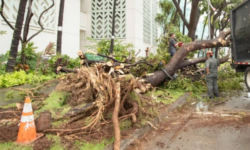 Tormenta Lala en Hawái