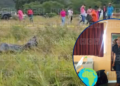 ¡Violencia sin freno! De varios impactos de bala le arrebatan la vida a un joven en Lamaní, Comayagua