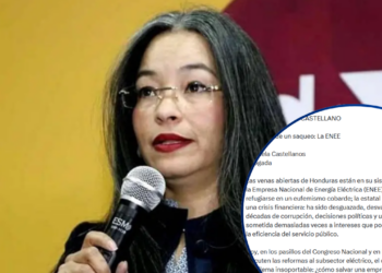 “La ENEE ha sido desguazada, desvalijada y mutilada”: Gabriela Castellanos cuestiona el manejo de la estatal eléctrica