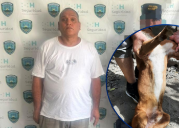 ¿Crueldad sin castigo? Liberan a hombre que arrastró a su perro al determinar que no estaba herido