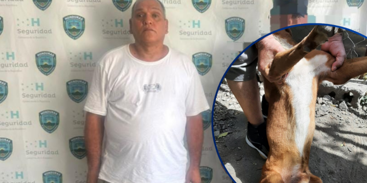 ¿Crueldad sin castigo? Liberan a hombre que arrastró a su perro al determinar que no estaba herido
