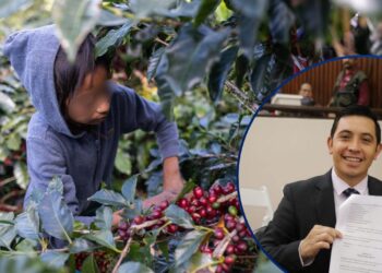 ¿El fin del trabajo infantil en Honduras? Diputado presenta ambiciosa propuesta de ley