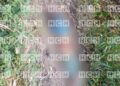 ¡Hecho macabro! Hallan a un hombre sin vida en Cantarranas con aparentes signos de abuso sexual