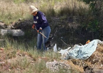 Alcaldía retira 12 toneladas de basura tras atender denuncia ciudadana en calle Los Laureles