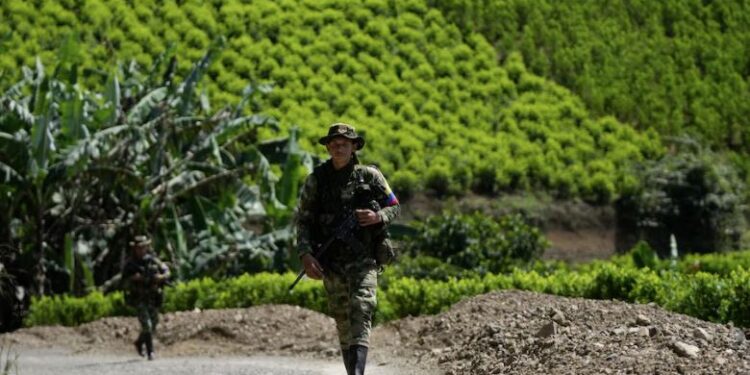 La cocaína superó al petróleo y lidera las exportaciones de Colombia: el país es el responsable del 70% de la oferta mundial, según The Economist