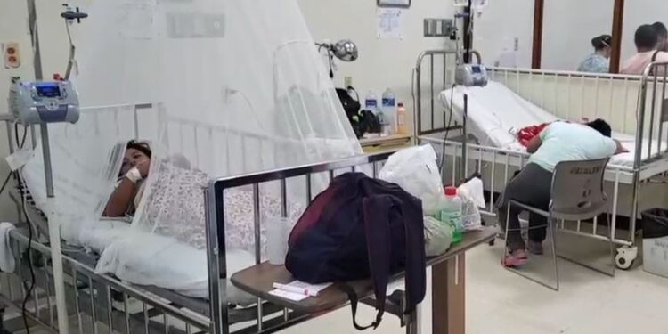Dengue golpea en Catacamas, Olancho… Se reportan entre 18 y 22 casos