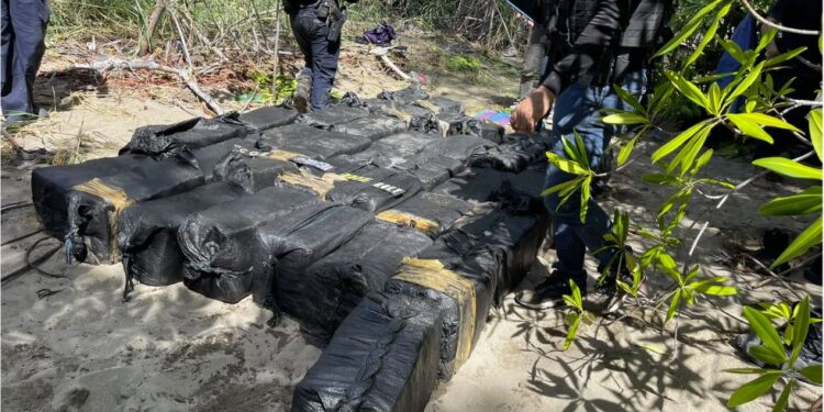 Fuerte decomiso de supuesta cocaína en la zona sur