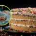Fiesta de cumpleaños termina en tragedia: 11 personas son hospitalizadas tras comer pastel