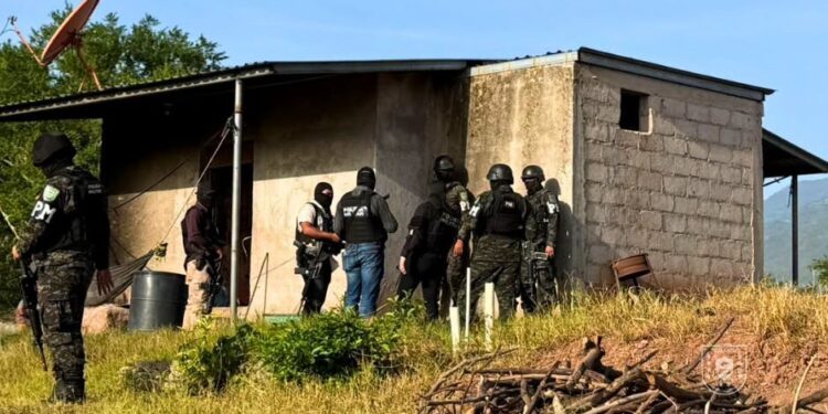 PMOP detiene a un ciudadano y decomisa tres armas de fuego tras allanamiento en Lejamaní