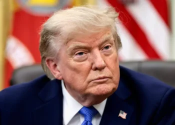 Trump impone un arancel del 15 % al insumo clave para fabricar paneles solares y semiconductores