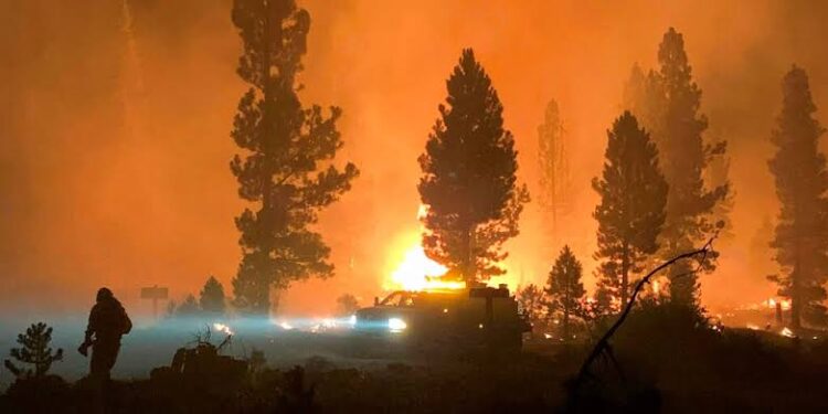 Incendios sin control ponen a prueba las elecciones primarias en el estado de Washington