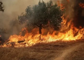 Dos muertos tras el choque de dos helicópteros que combatían incendios en Grecia