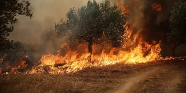 Dos muertos tras el choque de dos helicópteros que combatían incendios en Grecia