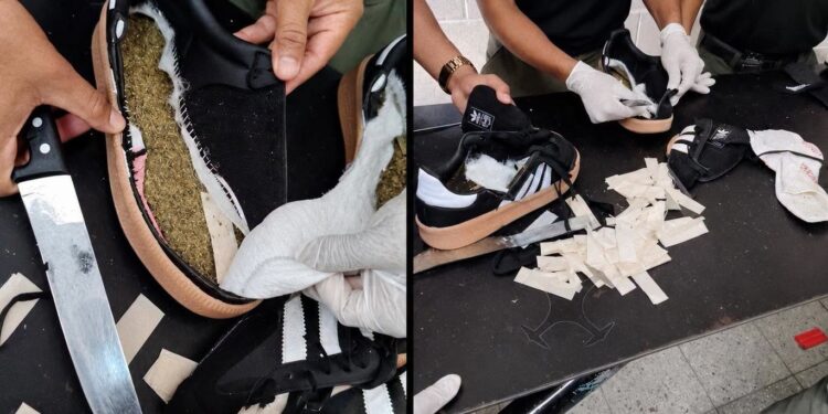 Mujer de 44 años es detenida al intentar ingresar supuesta marihuana oculta en unos tenis a la cárcel de Támara