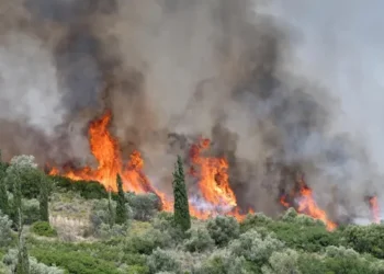 Más de 65,000 evacuados y 700 casas arrasadas por los graves incendios en el noroeste de EEUU