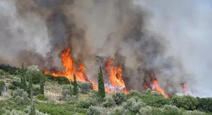 Más de 65,000 evacuados y 700 casas arrasadas por los graves incendios en el noroeste de EEUU