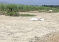 Carbonizado encuentran cadáver en Brisas del Valle, El Progreso, Yoro