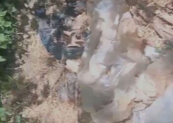 ¡Horrendo! Encuentran osamenta en un sector boscoso de Ocotepeque