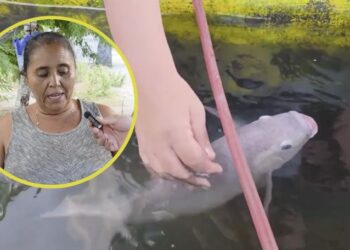 Una mujer de Morocelí, registró a su pez de 14 años de edad con el nombre de Gustavo García