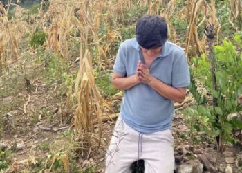“Hagamos una cadena de oración”: Alcalde de Piraera, Lempira se arrodilla en una milpa para orar por las lluvias