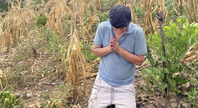 “Hagamos una cadena de oración”: Alcalde de Piraera, Lempira se arrodilla en una milpa para orar por las lluvias