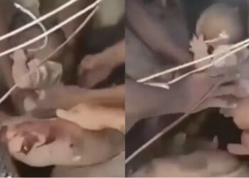 Rescataron con vida a un bebé y a un adulto entre los escombros en Cali tras el fuerte terremoto en Colombia
