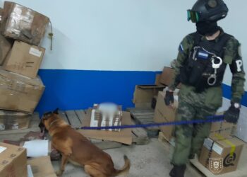 Can especializado “Milo” detecta cargamento de municiones en empresa de envíos