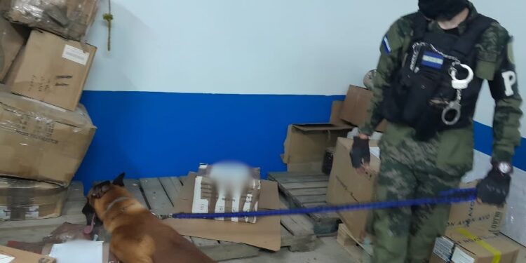 Can especializado “Milo” detecta cargamento de municiones en empresa de envíos