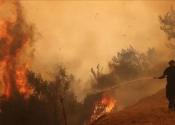 Incendios forestales en Grecia arrasan cerca de Atenas y provocan evacuaciones marítimas