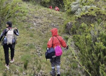 Rescate en el Chirripó: Hallan con vida a turista costarricense tras más de 50 horas desaparecido