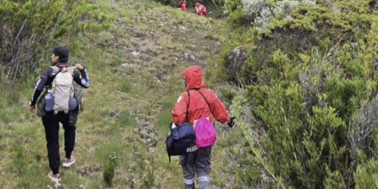 Rescate en el Chirripó: Hallan con vida a turista costarricense tras más de 50 horas desaparecido
