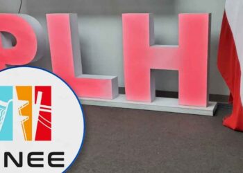 ¡A ver si como ronca, duerme! Bancada liberal presenta hoy su propuesta paralela para salvar la ENEE
