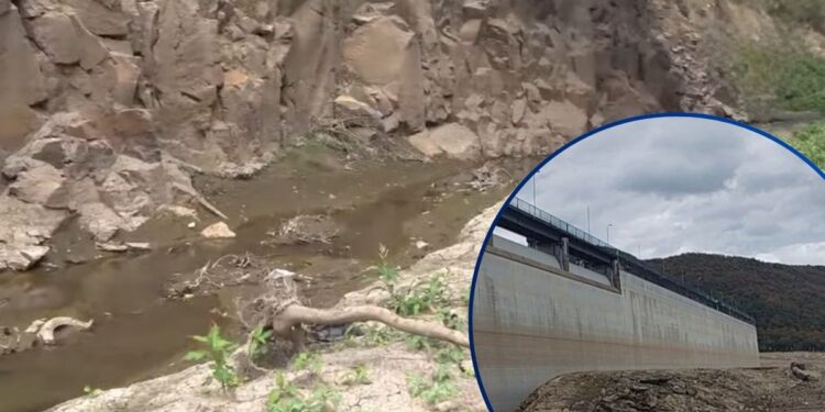¡Agoniza el río Guacerique! El principal afluente de la represa Los Laureles permanece como un “charco”