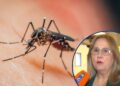 ¡Alarmante! Sesal confirma una muerte por Dengue en la capital