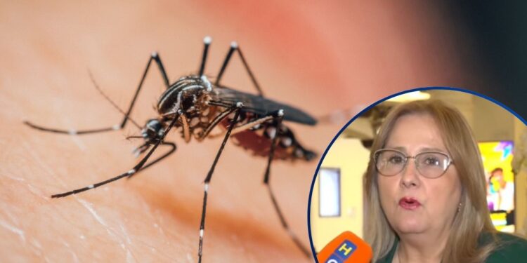 ¡Alarmante! Sesal confirma una muerte por Dengue en la capital