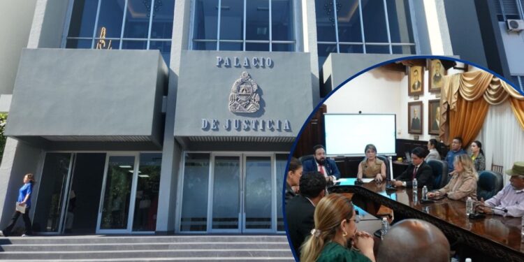 ¡Avanza investigación contra Redondo y la Comisión Permanente! Juramentarán perito para analizar polémica sesión del 8 de enero