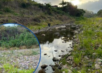 ¡Boquea el río Guacerique! Como un “charco” permanece el principal afluente de la represa Los Laureles