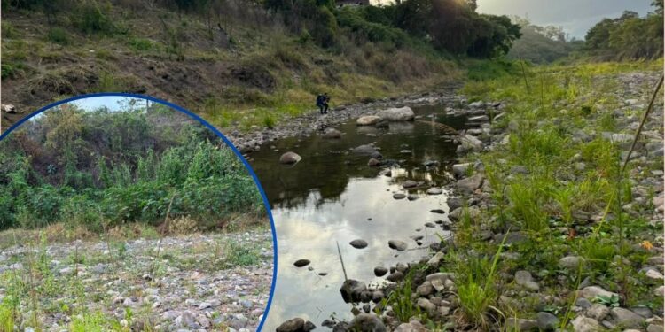 ¡Boquea el río Guacerique! Como un “charco” permanece el principal afluente de la represa Los Laureles