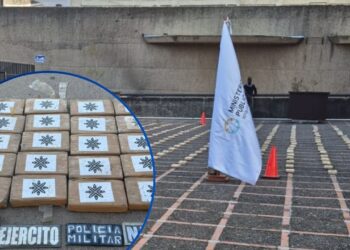 ¡Caleteados en camión! Decomisan 520 kilos de cocaína valorados en más de L98 millones en el oriente del país