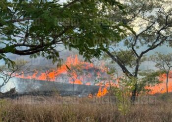 ¡Condenable! En plena sequía, pirómanos desatan “infierno” cerca de represa Los Laureles