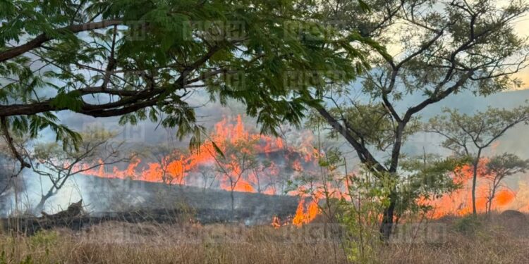 ¡Condenable! En plena sequía, pirómanos desatan “infierno” cerca de represa Los Laureles