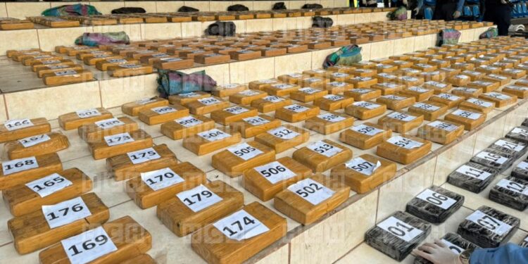 ¡Golpe al narco y lavado! 648 kilos de cocaína y 262 mil dólares, son los incautados en dos operaciones en la zona sur