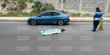 ¡Lamentable! Atropellado perece adulto mayor en el Anillo Periférico, Las Casitas