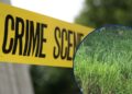 ¡Macabro hallazgo! Encuentran la cabeza de un hombre a orilla de una carretera en Santa Rita, Yoro