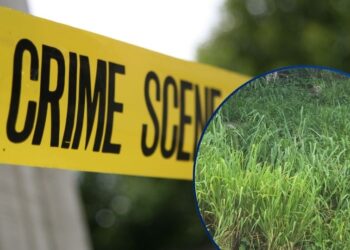 ¡Macabro hallazgo! Encuentran la cabeza de un hombre a orilla de una carretera en Santa Rita, Yoro