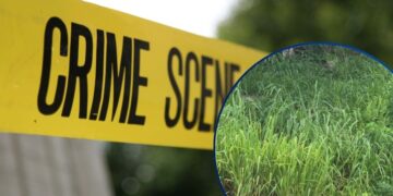 ¡Macabro hallazgo! Encuentran la cabeza de un hombre a orilla de una carretera en Santa Rita, Yoro