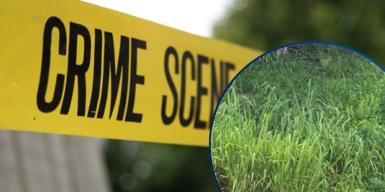 ¡Macabro hallazgo! Encuentran la cabeza de un hombre a orilla de una carretera en Santa Rita, Yoro