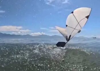 ¡Parece ciencia ficción! Crean un robot que vuela, nada y sale del agua como un ave