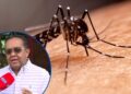 ¡Preocupante! Se disparan casos de Dengue, San Pedro Sula registra 15 en la última semana